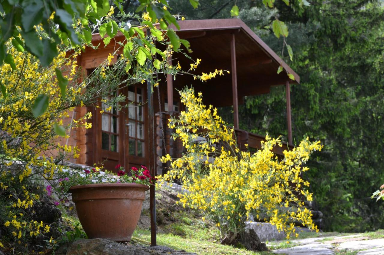Superior Chalet,1650025496:JPEG