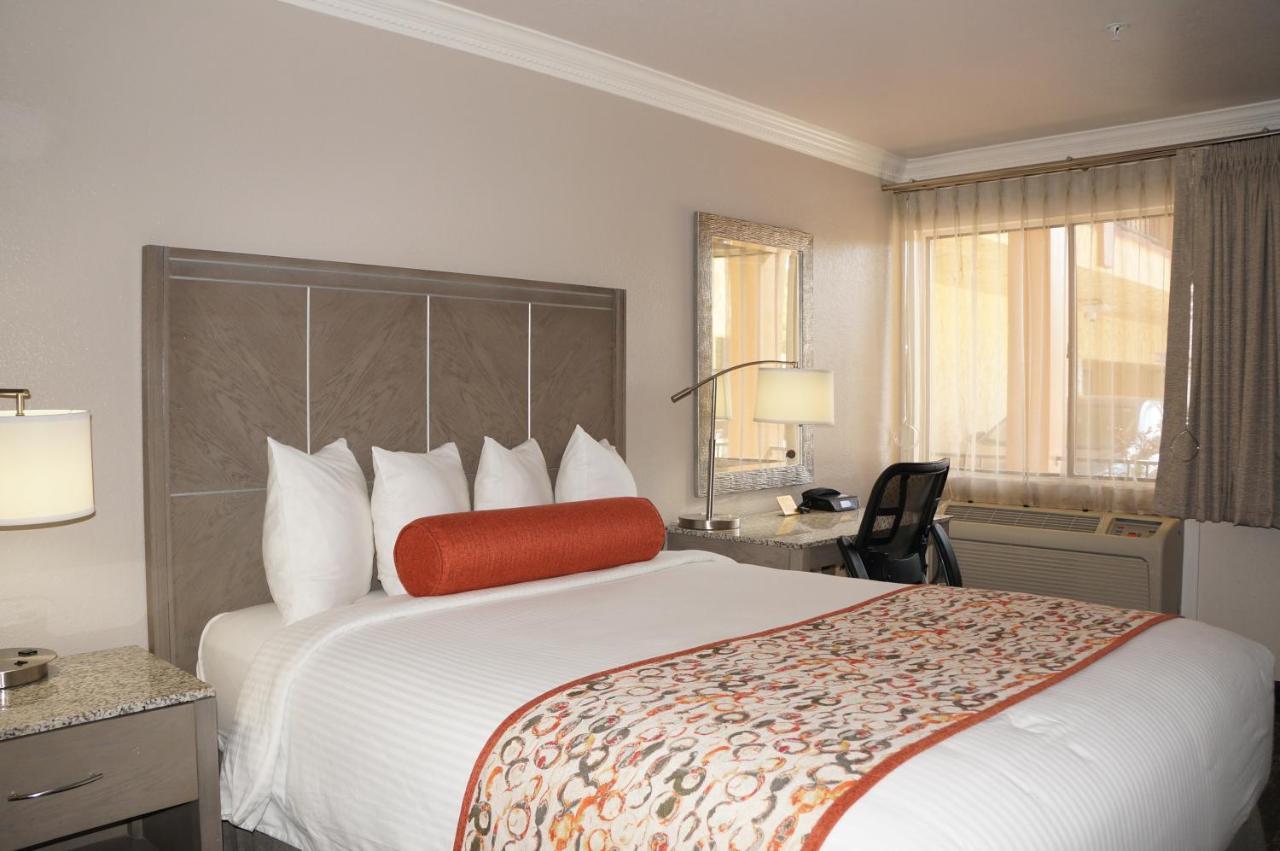 1 King Bed Non Smoking,1082921659:JPEG