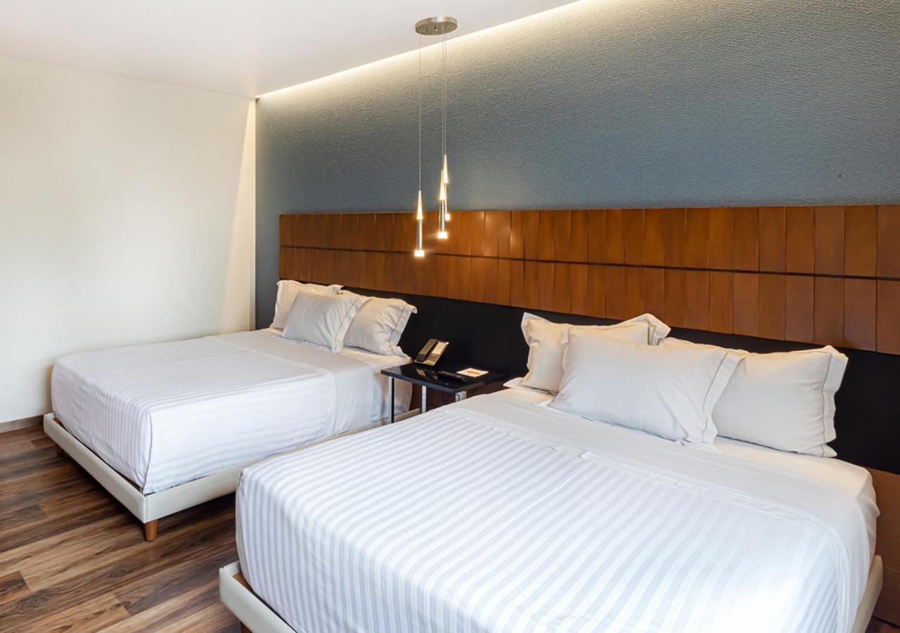 Superior Double Room Two Double Beds
