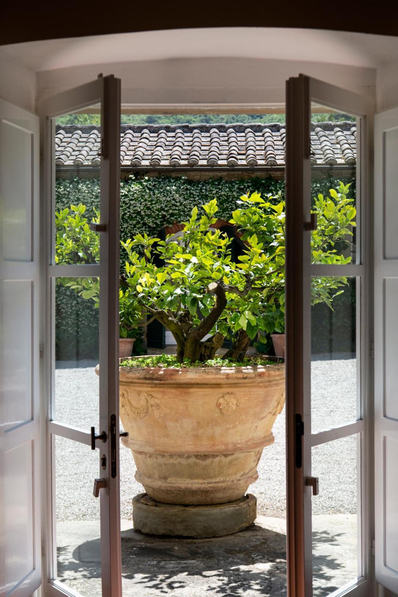 Courtyard Suite,1556086615:JPEG