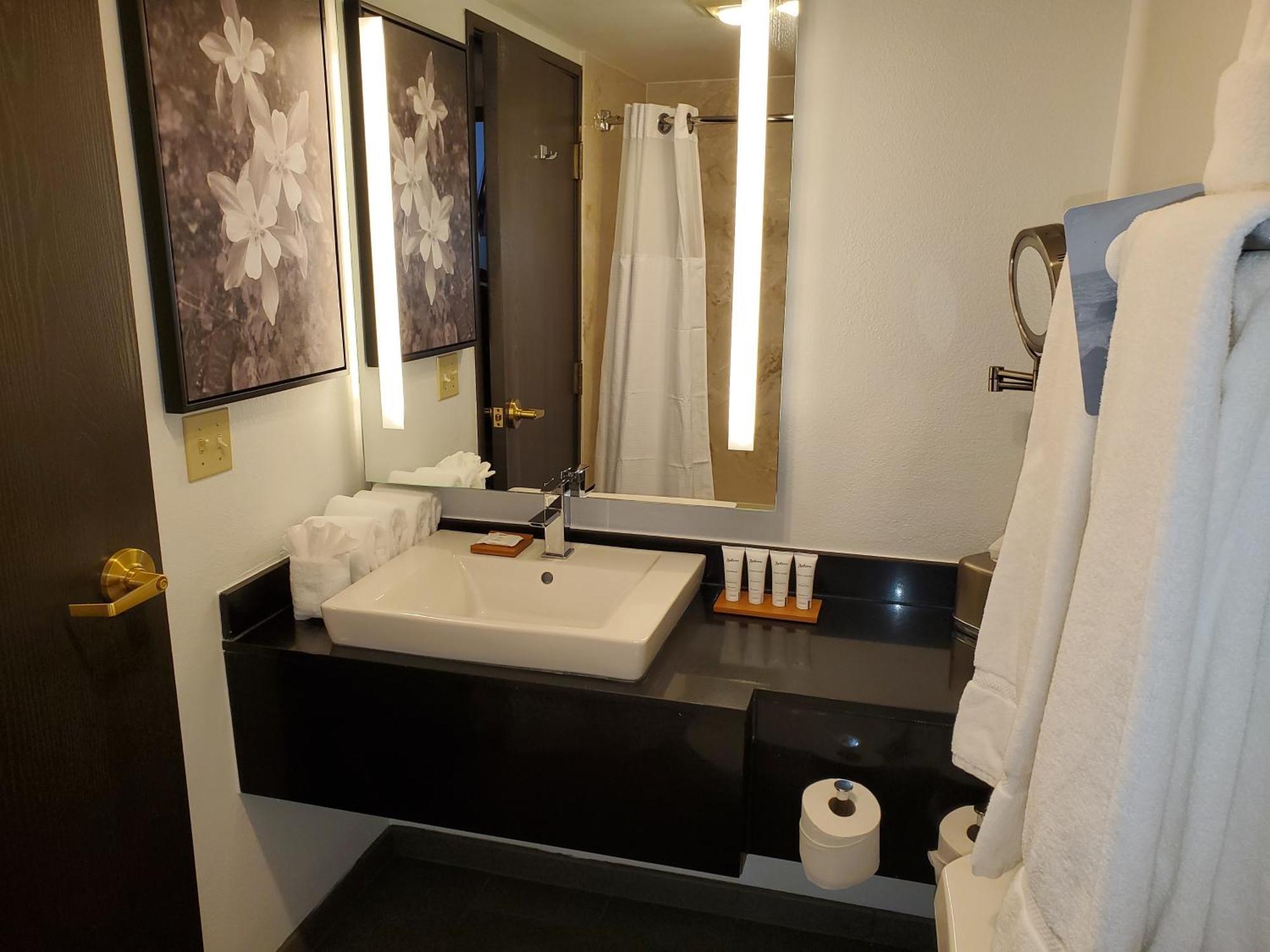 One-Bedroom King Suite with Sofa Bed - Non-Smoking