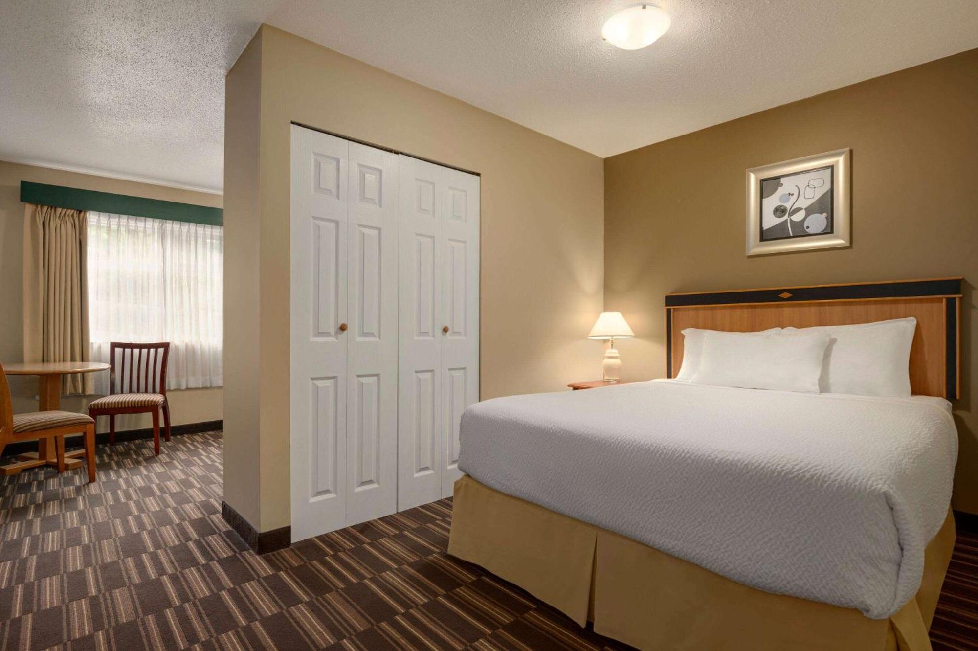 Studio Suite with Three Queen Beds (Pool Level),1453593118:JPEG