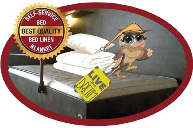 Bunk Bed 4-Bed Mixed Dormitory Room,326897644:JPEG