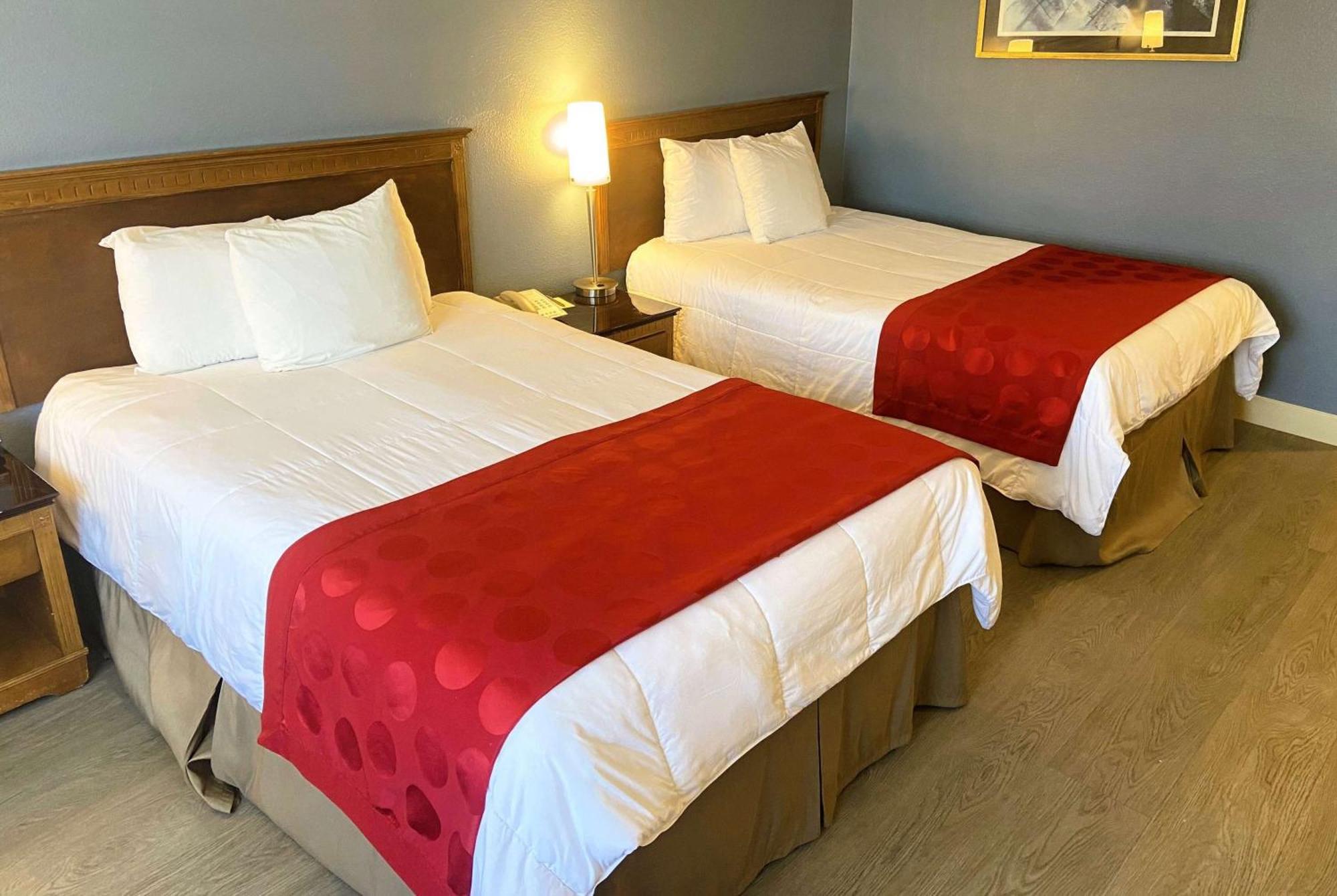Double Room with Two Double Beds - Non-Smoking