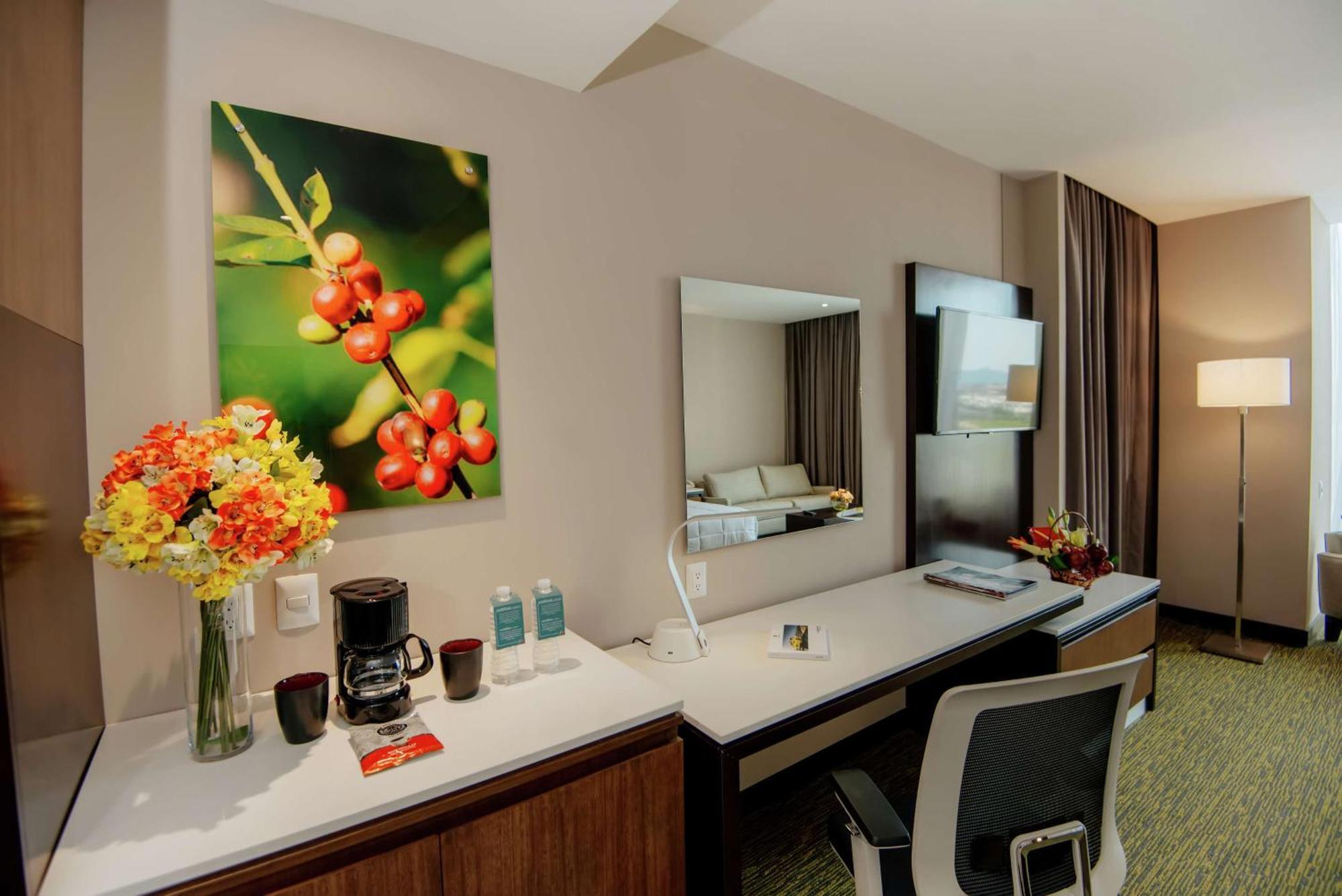 Junior Suite,1547740030:JPEG