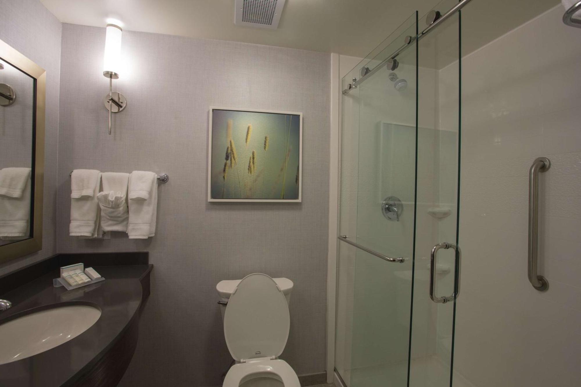 King Room Roll Shower Mobility Access