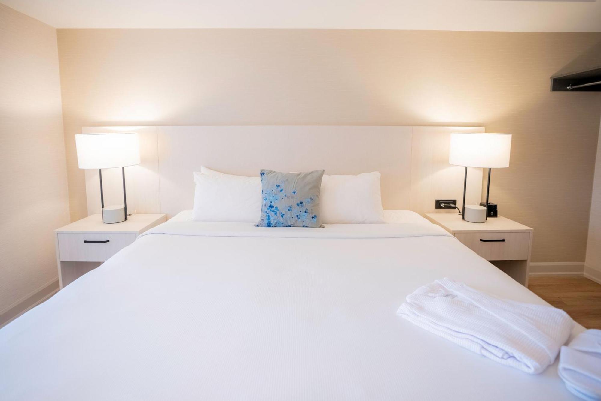 Modern One Bedroom King Suite,1583652891:JPEG