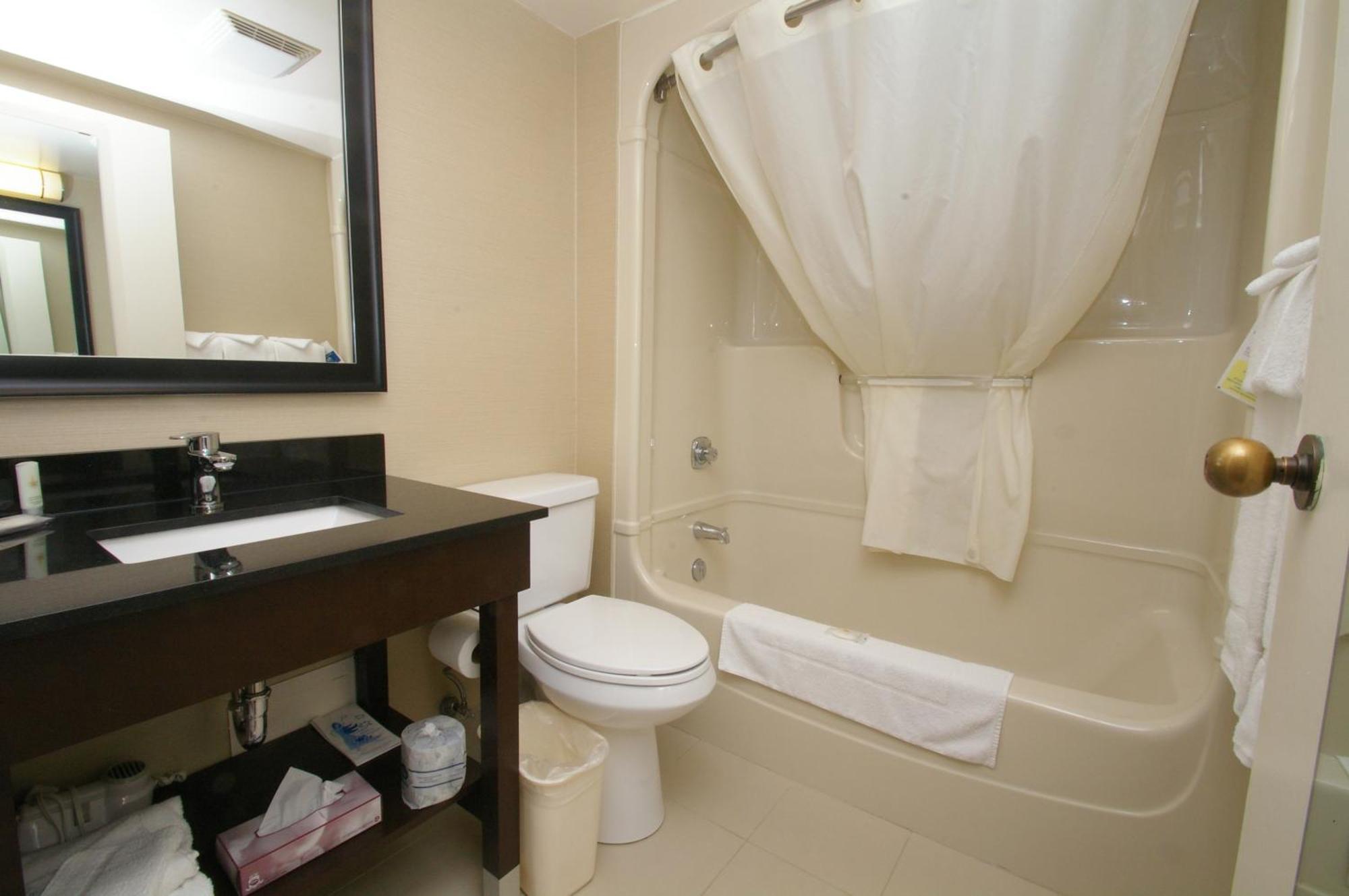 King Room Accessible or Non Smoking