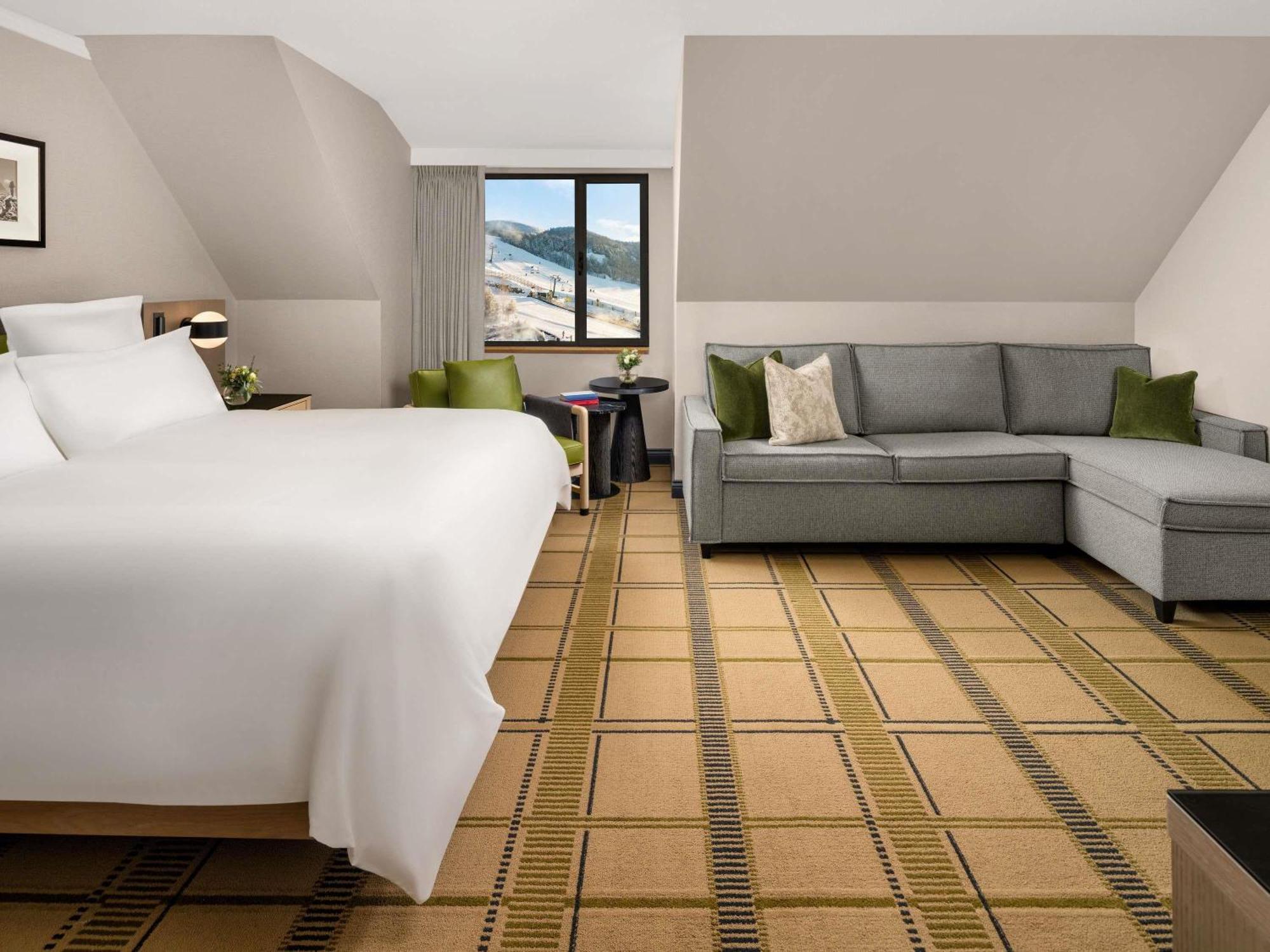 Deluxe King Room Seating Area Sofa Bed,1765822822:JPEG