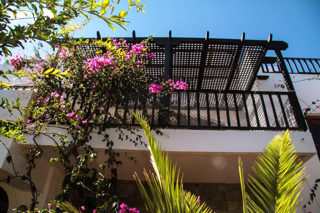 Apartment with Garden View - Split Level