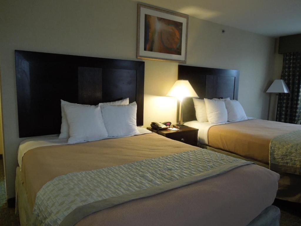 Queen Room Two Queen Beds