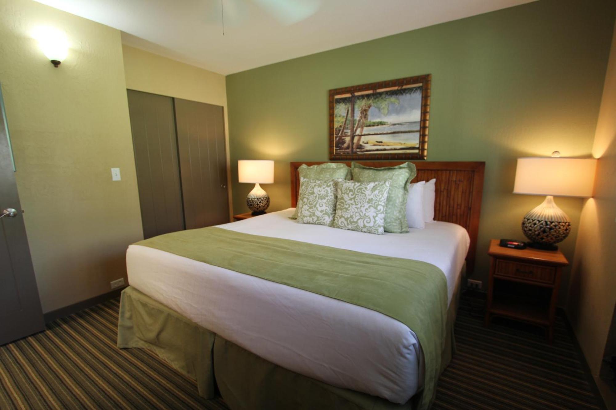 One-Bedroom Apartment,305130558:JPEG