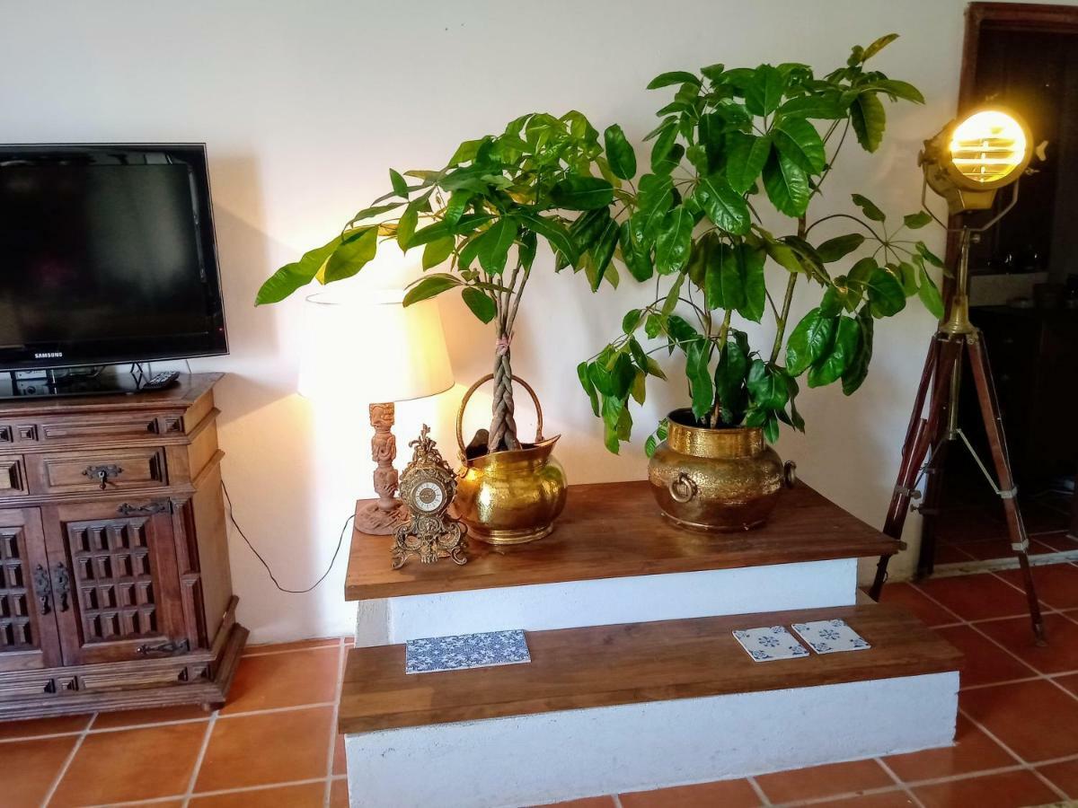 Holiday Home,878073566:JPEG