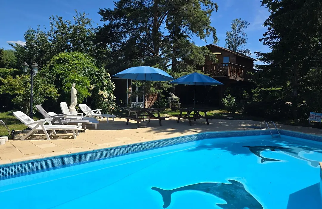 Les dauphins de Mareuil-1