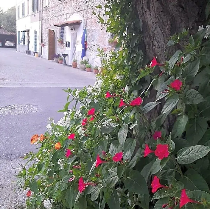 B&B A Casa Mia-1