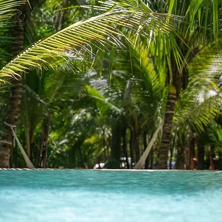 Hotel Buenavista Bacalar Jungle Experience-3