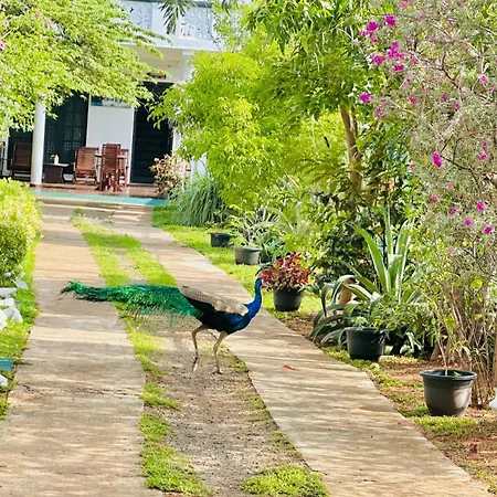 New Peacock Resort-3