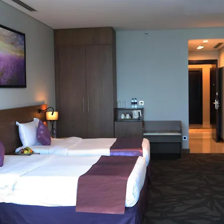 Park Regis Business Bay-3