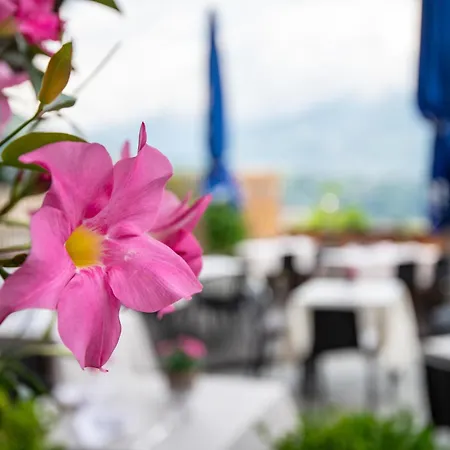 Hotel Residence Mavie-2