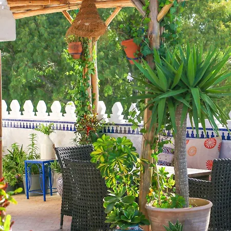 Riad Al-Qurtubi-2