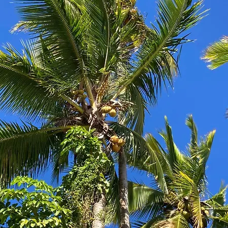 Hilo Bay Oceanfront Bed And Breakfast-3