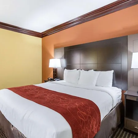 Comfort Suites Lake Jackson Clute-2