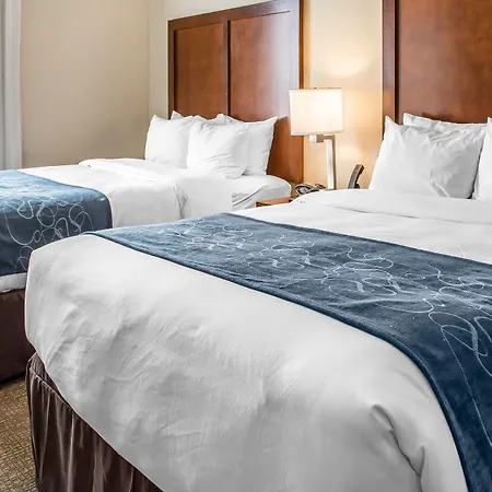 Comfort Suites Near Potomac Mills-3