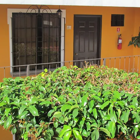 Hotel Villa Terra-3