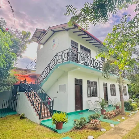 New Peacock Resort-2