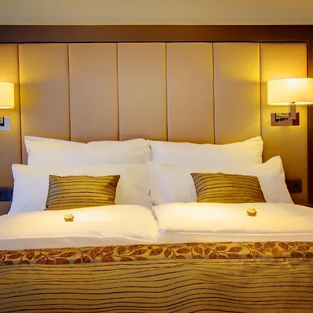 Hotel Favor-2