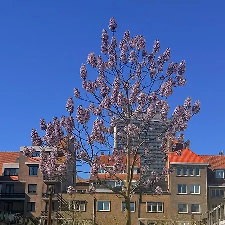 Logies Zen aan Zee-2