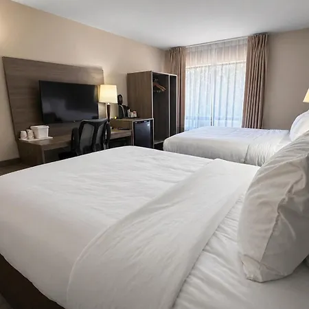 Comfort Inn-2