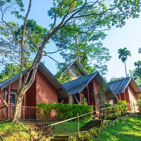 Cinnamon Village Sinharaja-3