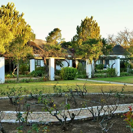 Swartberg Hotel, Cork Tree Collection-2
