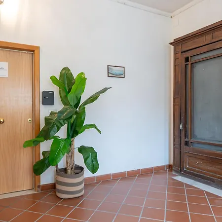 Appartamento - Belvedere Terrazza Vesuvio Materdei-3