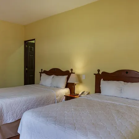 Hotel Villa Terra-2