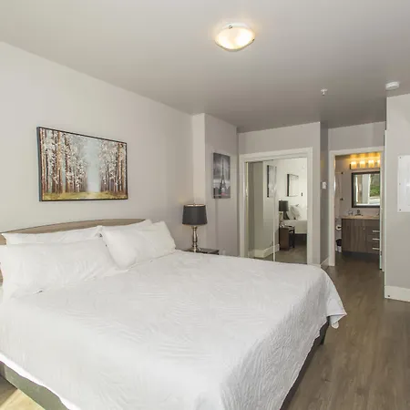 Solo Suites-2