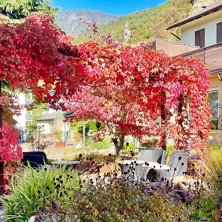 Hotel Garni Grüner Baum (Albero Verde)-3