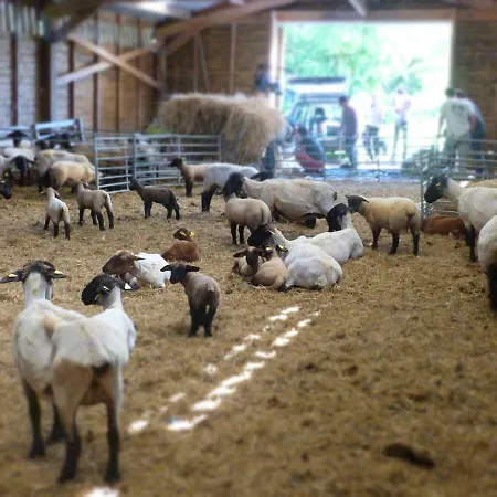 La Ferme Du Vincin-3