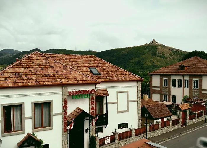 Hotel Aragvi