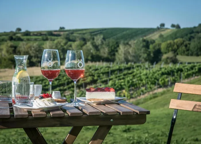 Boutique Hotel Vinarstvi Skrobak