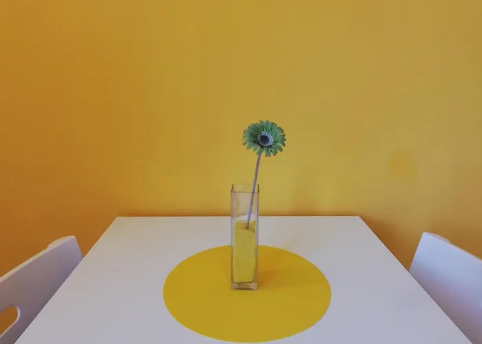 The Yellow House
