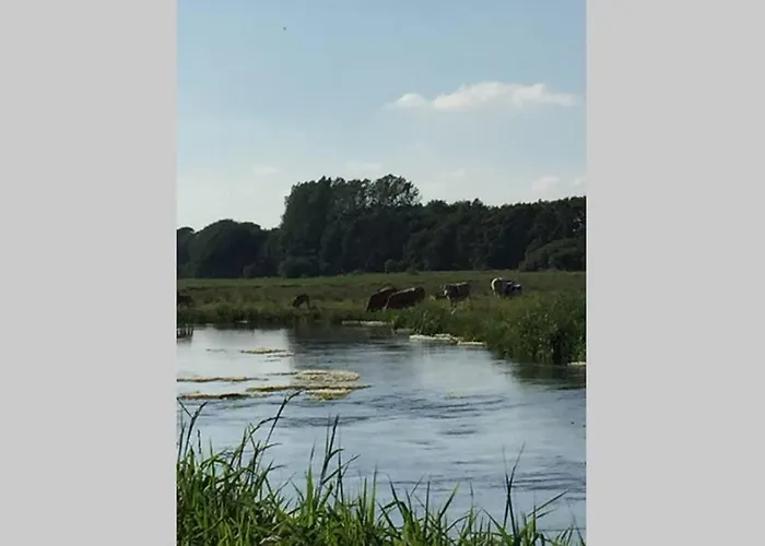 Lejlighed Ved Kongeaen