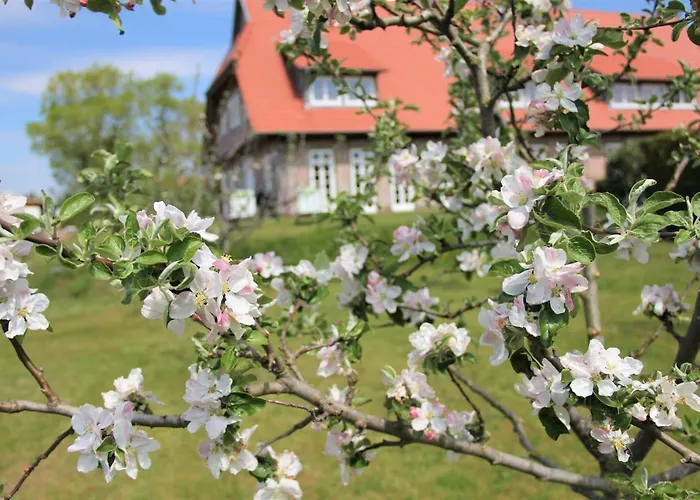 Landhaus Fünfseen