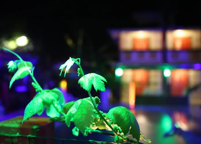 Hotel Ferrugem Eco Village