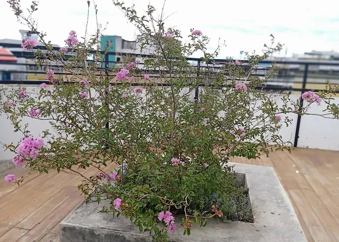 Huglampang Boutique Hotel