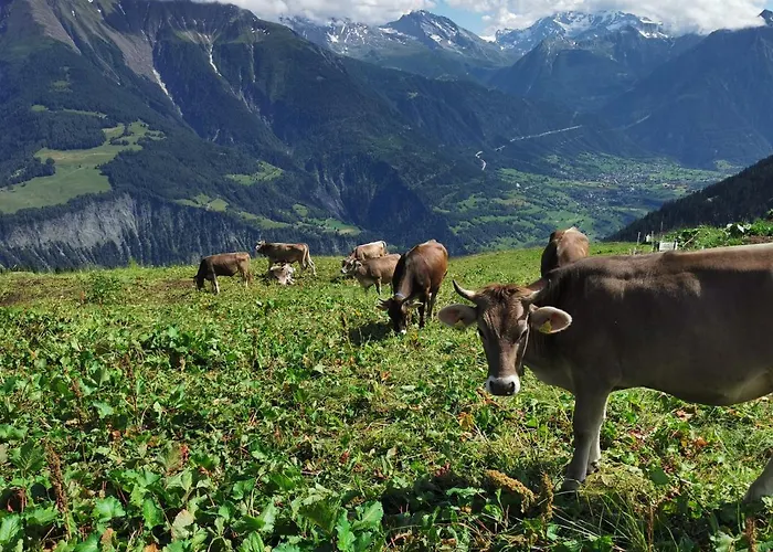 Apartment Alouette Riederalp
