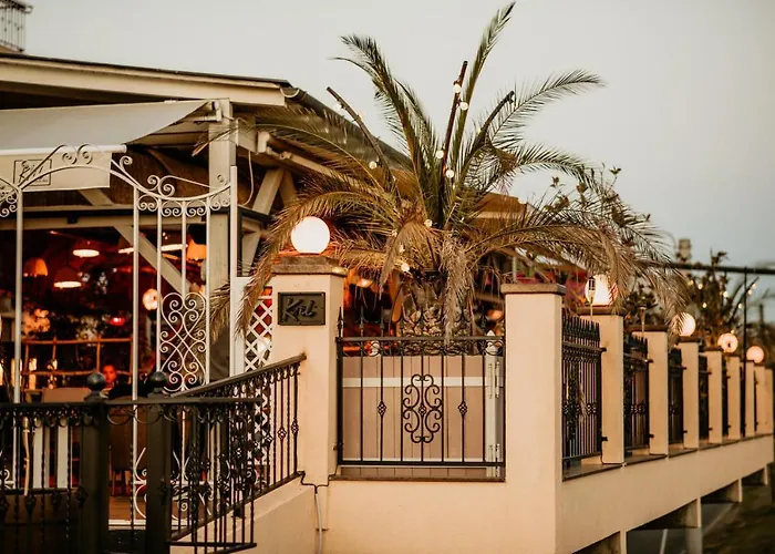 Hotel Coandi
