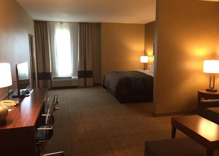 Comfort Inn & Suites Lynchburg Airport - University Area