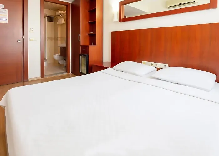 Hotel Pelit